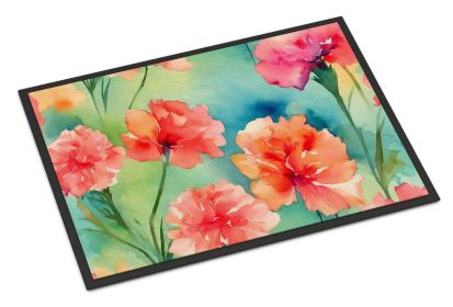 NEW Carnations in Watercolor Doormat Front Door Mat Indoor Outdoor Rugs for Entryway, Non Slip Washable Low Pile, 18H X 27W